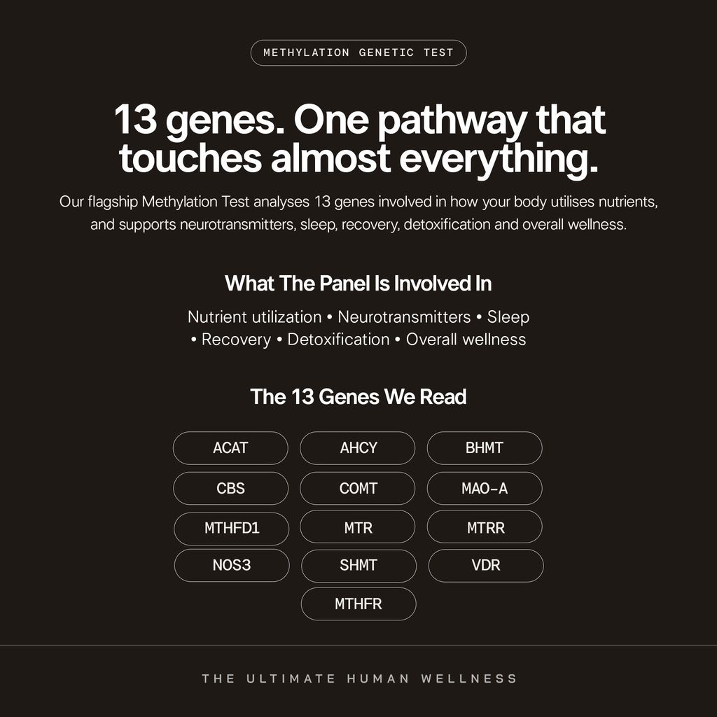 The Ultimate Human Wellness Genetic Methylation Test Kit - Image 4