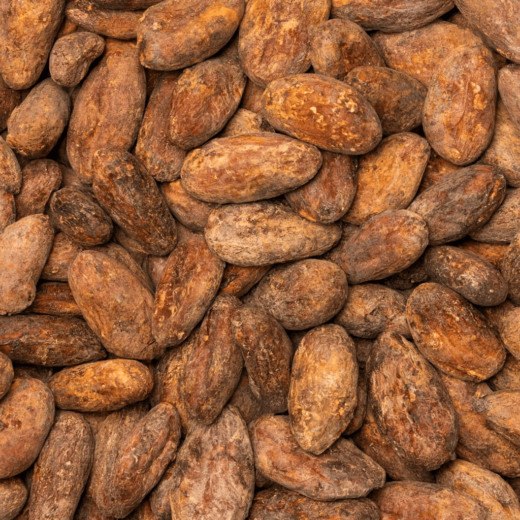55% Cacao With Almond Butter & Roasted Almonds - Image 5